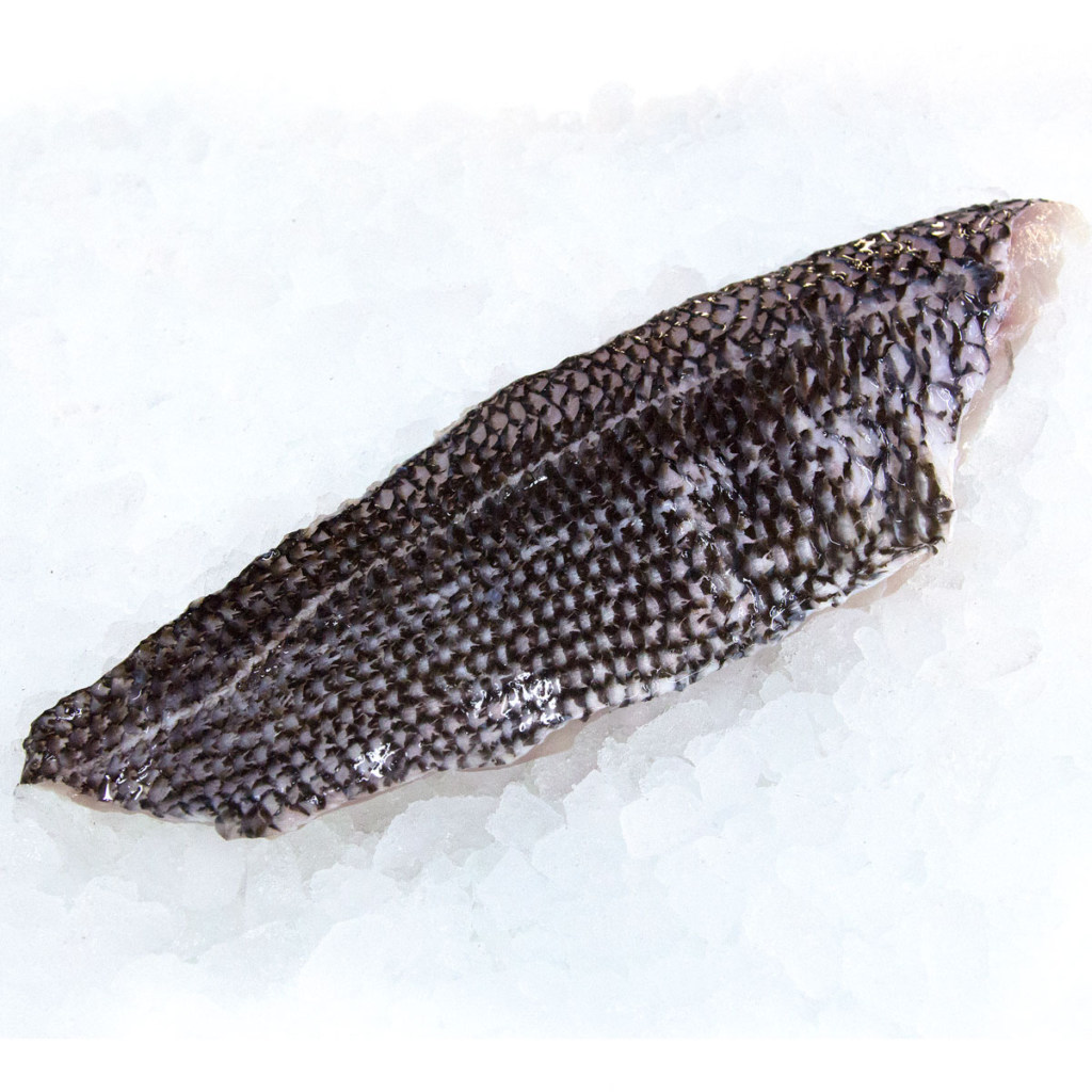 Black Sea Bass F Rozzo Sons   Black Sea Bass 1024x1024 